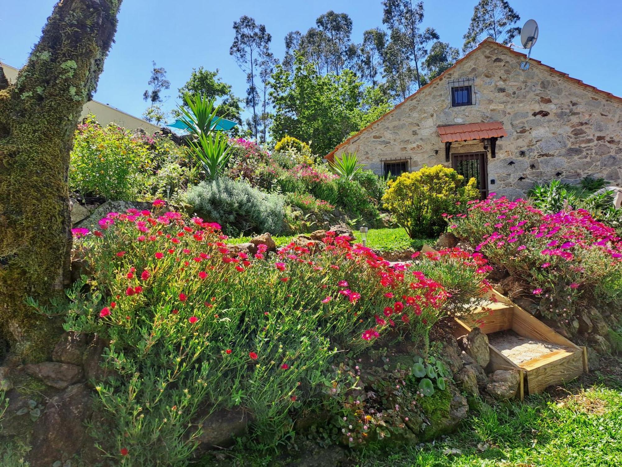 Chalet Cedrim Hillside