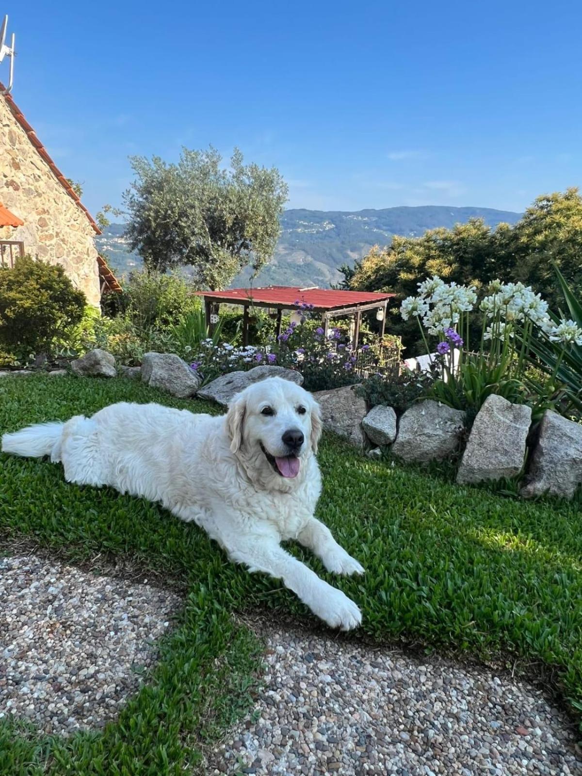Cedrim Hillside Sever do Vouga