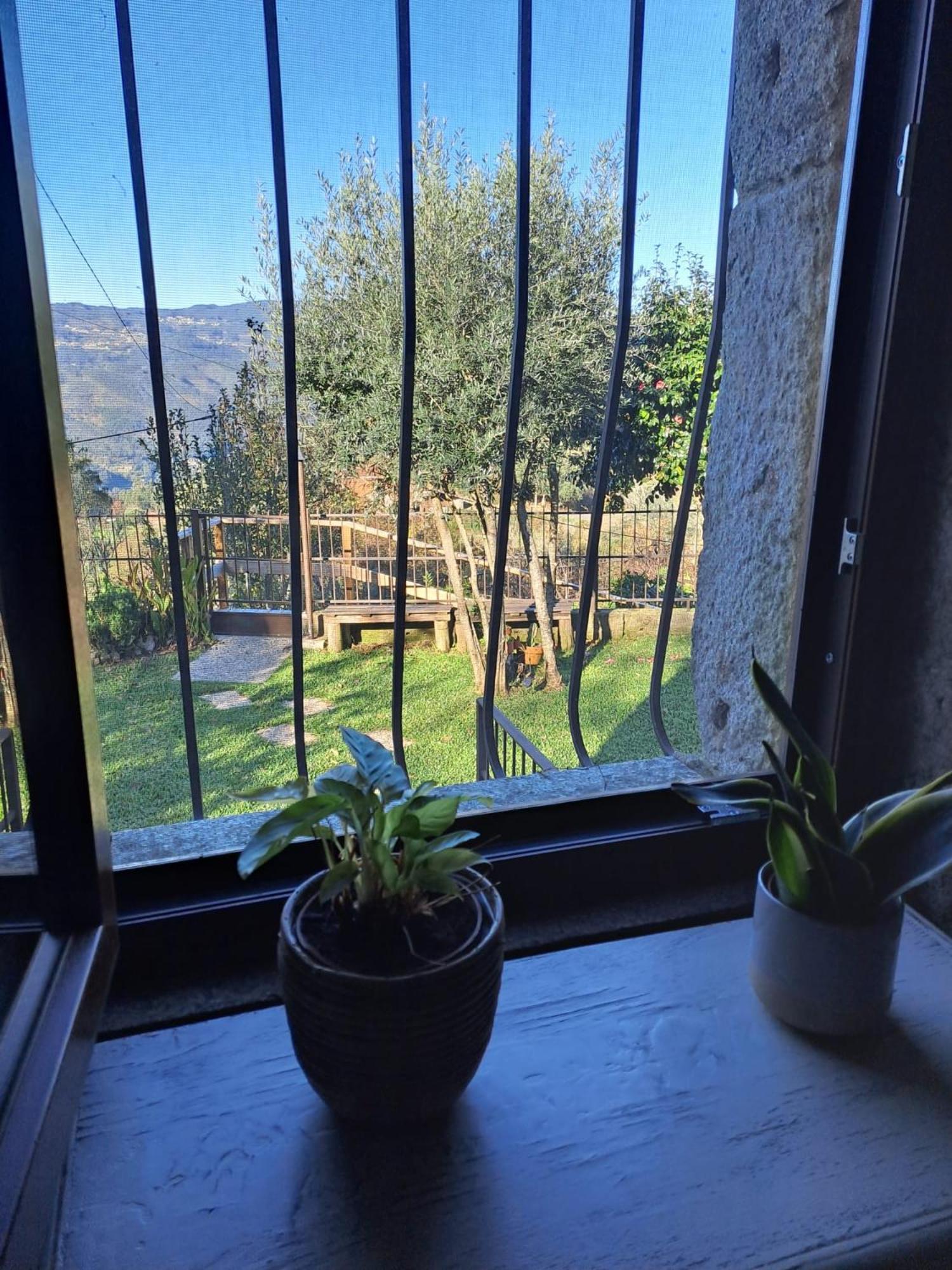 Cedrim Hillside Sever do Vouga